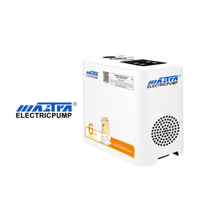 MASTRA 220 В 320 Вт Домашние мини автоматические центробежные бустерные насосы высокого давления Интеллектуальный бытовой бустерный насос с постоянным магнитом